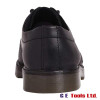 Sterling Safety SS100 Safety Shoe Sterling Safety SS100 Safety Shoe